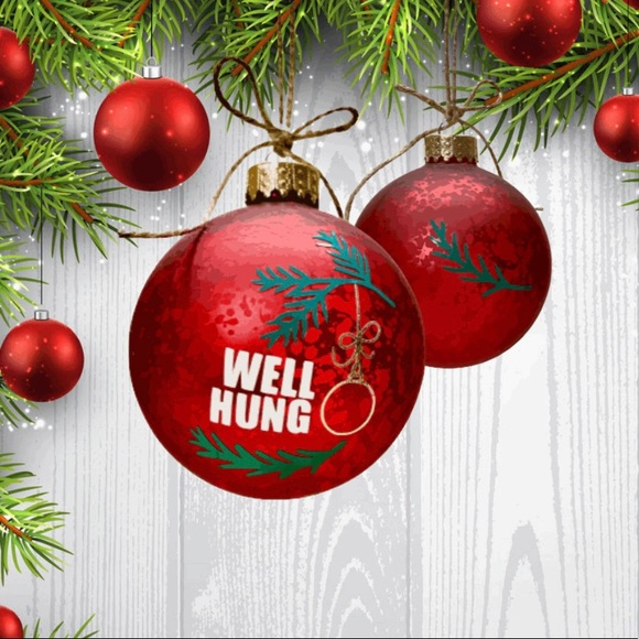 WELL HUNG- HANDMADE CHRISTMAS GLASS RED ORNAMENT - Picture 14 of 16